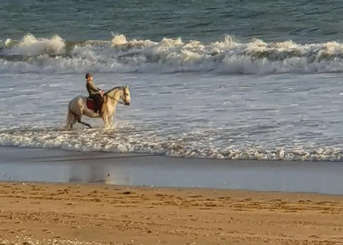 Lejlighed Vue Mer, 4 Pers - Ideal Famille