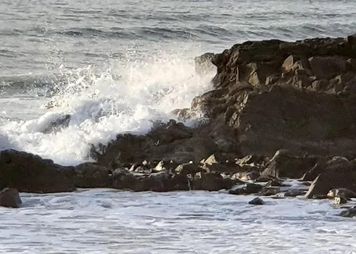 Vue Mer, 4 Pers - Ideal Famille Lejlighed *