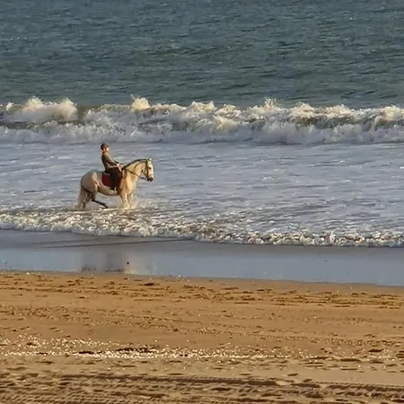 Appartement Vue Mer, 4 Pers - Idéal Famille